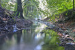 Stream in fume.... Stream in fume....