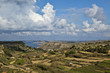 Bahrija Landscape