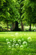 Summer park bubbles