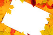white sheet of paper and autumn leaves