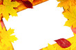 white sheet of paper and autumn leaves