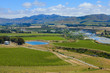 New Zealand Wine Country