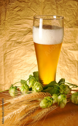 Photo: The glass of beer The glass of beer