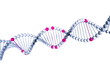 3d DNA. Isolated on white background