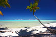 paradise