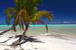 paradise