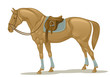 Stallion