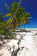 paradise