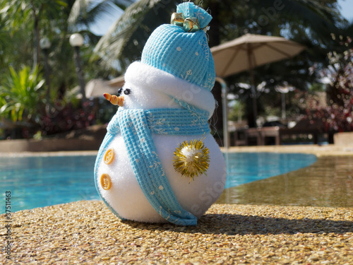 Foto: Schneemann am Pool Schneemann am Pool