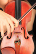 Close up of a couple holding a violin Close up of a couple holding a violin