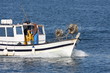 retour de peche