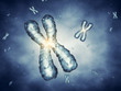 Chromosomes , genetic engineering