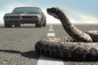 Retro car and snake