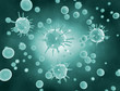 Virus cells