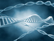 Photo en ligne au meilleur prix dna