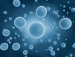 Cells in blue