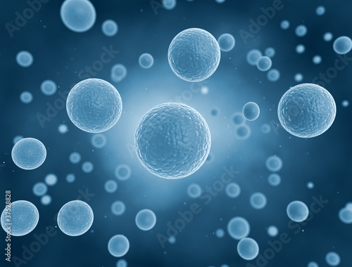 Illustration: Cells in blue Cells in blue