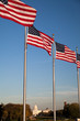 Foto: The US Capitol and US Flags The US Capitol and US Flags