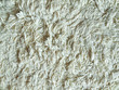 Carpet texture Carpet texture