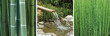 triptyque sur le thème du bambou triptyque sur le thème du bambou
