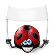 Photo en ligne au meilleur prix coccinella con striscione