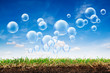 Grass turf and bubbles