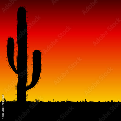 Vector: cactus big black silhouette cactus big black silhouette