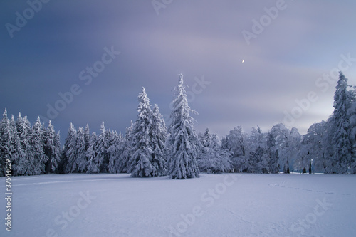 Photo: Winterzauber Winterzauber