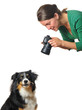 Photographing a dog