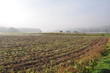 Dietkirchen Lahnauen im Nebel
