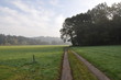 Dietkirchen Lahnauen im Nebel