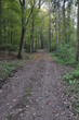 Dietkirchen Waldweg