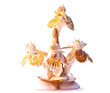 sea shell on white background