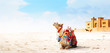 Camel