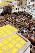 Leather tanning in Fes, Morocco