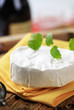 White rind cheese White rind cheese