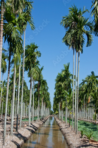 Photo: Agriculture Agriculture