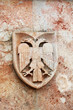 eagle of albania eagle of albania