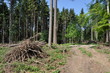 Foto: Stromberg Telegrafenberg Stromberg Telegrafenberg