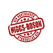 *HiggsBosonFound11