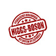 *HiggsBosonFound11