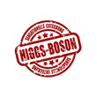 *HiggsBosonFound11