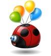 coccinella leggera