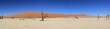 Panorama Deadvlei