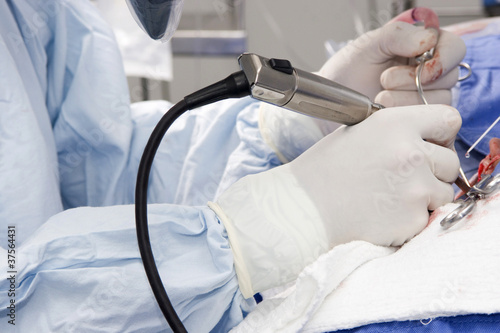 Foto: Surgeon Performing Surgery Surgeon Performing Surgery