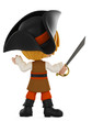 pirate boy back view