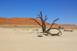 Wüste Namibia Wüste Namibia