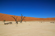 Wüste Namibia