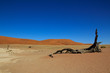 Dead Vlei Namibia