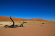 Dead Vlei Namibia